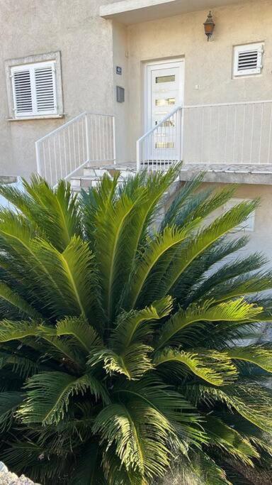 Apartment Biggy Cavtat Luaran gambar
